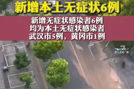 湖北昨日新增本土确诊3例，新增本土无症状6例。视频封面