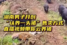 #湖南一男子直播视频带你云养猪 @DOU+小助手 #直播带货 #宠物 视频封面