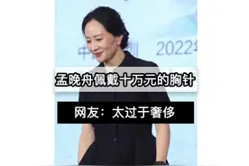 孟晚舟佩戴价值十万元的蝴蝶胸针火爆出圈视频封面