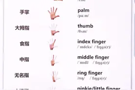 hand#归类单词视频封面