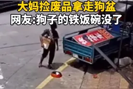 #大妈捡废品拿走狗盆 网友：当狗的面跟狗抢饭碗？视频封面