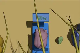 什么是质量，重量，吨，千克，克的关系#学习使我快乐