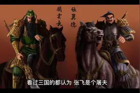 历史上的张飞不仅识字，竟然还是书画家？视频封面