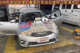 ￼想知道老鼠是如何进车内吗？又是如何，死在车内呢？视频封面