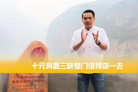 十元钱的背面，重庆奉节三峡夔门值得你去体验视频封面