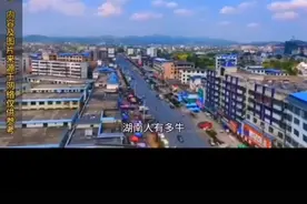 中国为什么要禁枪，马VS井村战役告诉你答案…视频封面