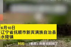 #抚顺 疑似发现#老虎 出没，有村民发现了#猫科 动物轨迹视频封面