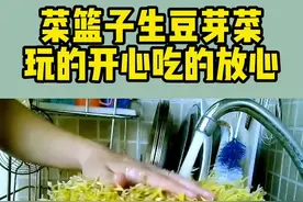 用菜篮子就能生豆芽菜，跟孩子一起做，体验快乐还能吃到放心菜！#种植小技巧 #自制豆芽菜 #发豆芽 #芽苗菜 视频封面