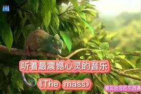 #创作灵感 适合演讲朗读的纯音乐最震憾心灵的背景音乐《The视频封面