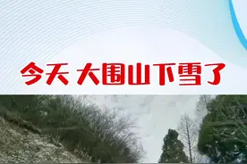 今天，大围山国家森林公园山顶下雪了，这是农历2021年浏阳第一场雪。视频封面