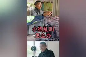 #小狗乱叫怎么办 准备好纸巾视频封面