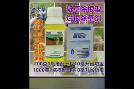 京博施必清，滴酸草甘膦，杂草烂根。可以杀死芦苇，小飞蓬视频封面