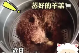 一牧民家的羊在夜晚产下小羊羔，早晨发现小羊羔受冻，随后将小羊放锅里蒸一下暖身子～#小羊羔 #奇闻趣事 视频封面