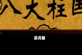 府兵制，中国古代兵制之一。该制度最重要的特点是兵农合一。由西魏权臣宇文泰建于大统年间(535~551)，历北周、隋至唐初期而日趋完备，唐太宗时期达到鼎盛，唐玄宗天宝年间(742~755)停废，历时约二百年。#宇文泰#西魏#北周#隋朝#唐朝视频封面