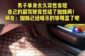 男子单身太久突然发现，自己的副驾驶竟然结了蜘蛛网！网友：蜘蛛已经暗示的够明显了吧。视频封面