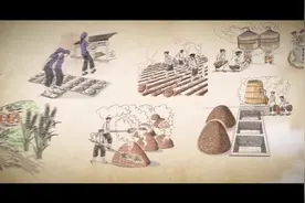 只想好好的做一位合格的酱人视频封面