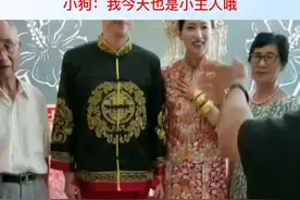 小狗也是娘家人呀#可爱 #狗狗 视频封面