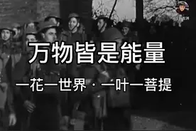万物皆是能量。 一花一世界·一叶一菩提#生命科学 #科普 #原创视频封面