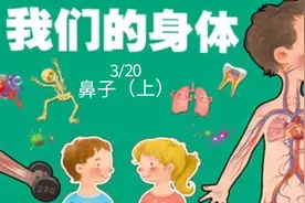 #人体结构 #鼻子视频封面