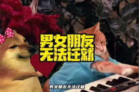 男女朋友无法迁就，越拖越容易分手，修勾勾如是说#cheems #音乐视频封面
