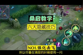 桑椹的隐藏技巧来了。#王者荣耀 #桑启视频封面
