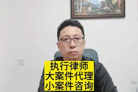 执行律师大案件代理，小案件咨询！#律师 #法律常识视频封面