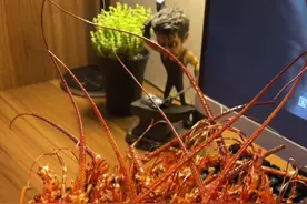 忙碌的生活中也别忘了犒劳下自己 比如一顿简单的美食 #麻辣澳龙 #跟我学做菜 #仪式感视频封面