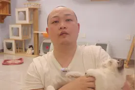 猫砂多久更换一次#养猫新手 #vlog日常 #科学养猫攻略视频封面