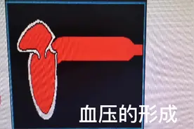 血压的形成机制视频封面