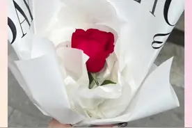 金佳蓝校园事件（下）#金佳蓝#lesserafim#hybe#桃花宝宝儿@抖音短视频 @桃花宝宝儿视频封面