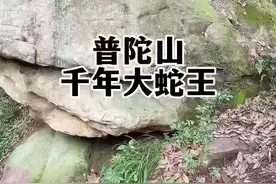 无恶不作的大蛇王怎么被收服的#普陀山#传说故事#全能导游 #旅行大玩家 #奇妙知识在抖音视频封面