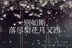 一别如斯，落尽梨花月又西，三首梨花诗词，醉了流年，碎了心扉视频封面