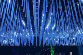 从今以后做个狠心的女人，不痛，不痒，不在乎，没心，没肺视频封面