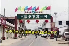 重度盐碱地里种出了致富的冬枣视频封面