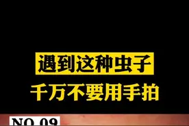 在公园遇到#隐翅虫 千万不要拍打，如果不慎被隐翅虫伤到了，赶紧这样处理#医学科普