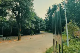 江西省林业科学院南昌市植物园#江西南昌 #露营 #南昌露营视频封面