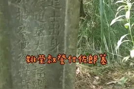 台湾兵道姚莹与将领达洪阿协力同心保卫大清国土。任上给其叔登仕佐郎墓碑题意。该墓位于安庆市桐城黄甲镇汪河村。