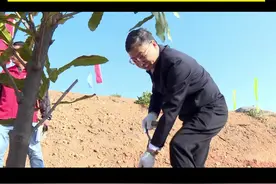 高明区几套班子领导与区直部门及明城镇的60余名干部职工，为助力佛山建设粤港澳大湾区高品质森林城市添绿增彩。视频封面
