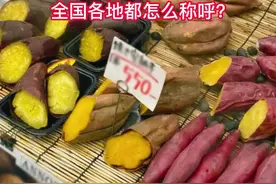 白薯，红薯和地瓜到底有什么区别？全国各地都怎么称呼?#涨知识 #红薯 #地瓜 #土豆 #优质农产品 #搞笑 视频封面