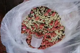 多喝五谷杂粮对身体好，我坚持喝了二三个月视频封面