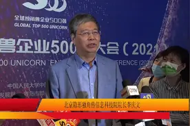 北京隐形独角兽信息科技院院长李庆文谈“独角兽”#金融 #财经视频封面