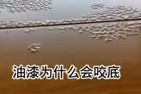 #油漆 #咬底 是什么原因
