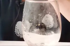 阿里最水员工，他说自己的工作就是这么朴实无华且枯燥，你想来试试吗？视频封面