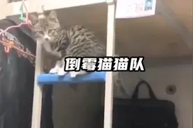 so  所以 you will be like them？ 你也要像他们一样？ abandon视频封面