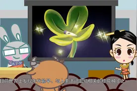 万年前的桂花种子你见过吗？灰仔兔带你了解甑皮岩史前文化。视频封面