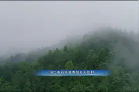 贵州省农科院科技特派员脱贫攻坚纪实(下) #多彩贵州相约2020视频封面