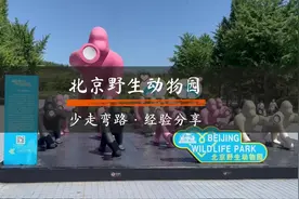 北京大兴野生动物园，少走弯路及避坑攻略.#酒旅心动分享官视频封面