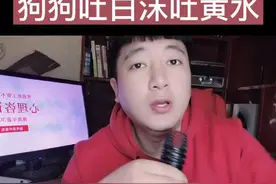 狗狗吐白沫吐黄水咋办？#狗狗 #宠物医生 #抖音小助手 #萌宠出道计划
