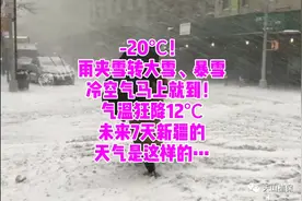 -20℃！雨夹雪转大雪+暴雪+冷空气马上就到！气温狂降12℃视频封面
