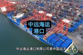 中远海运港口#海运 #港口码头 #汉堡港视频封面